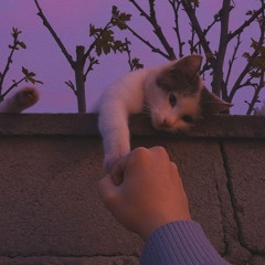 unfinished sentences loop