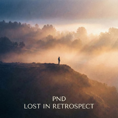 BEEDS - LOST IN RETROSPECT