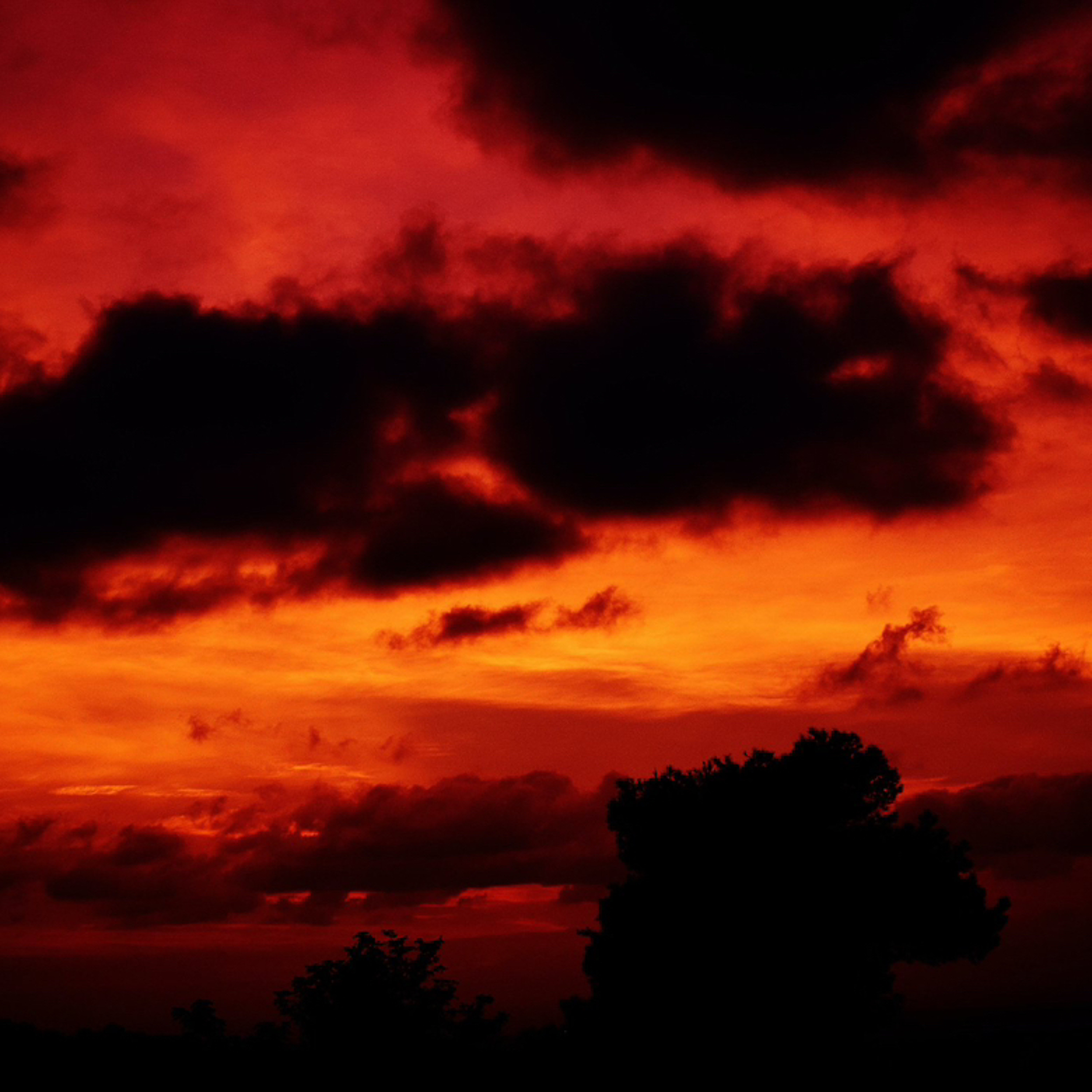 Homily 6-25-23: NOTHING TO FEAR…BUT HELL -12th Sunday in Ordinary Time episode artwork