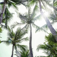 Andy Bianchini best background DOWNLOAD