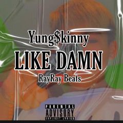 Like Damn (Prod.RayRayBeats)