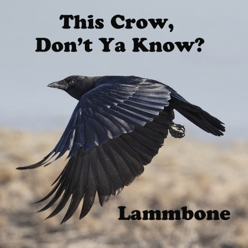 This Crow, Don't Ya Know?