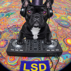SKEGSS - L.S.D (DICKO BOOTLEG)