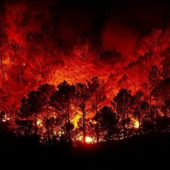 ...and it all goes downhill:( (prod. iz sav)