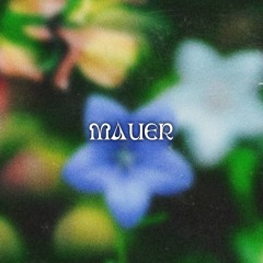 SINGLE SERIES [Free Download]