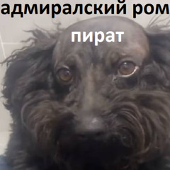 адмиралский ром ПРОД KURANE