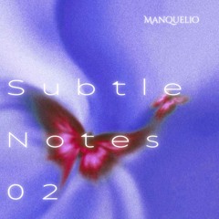 28 subtle notes 02
