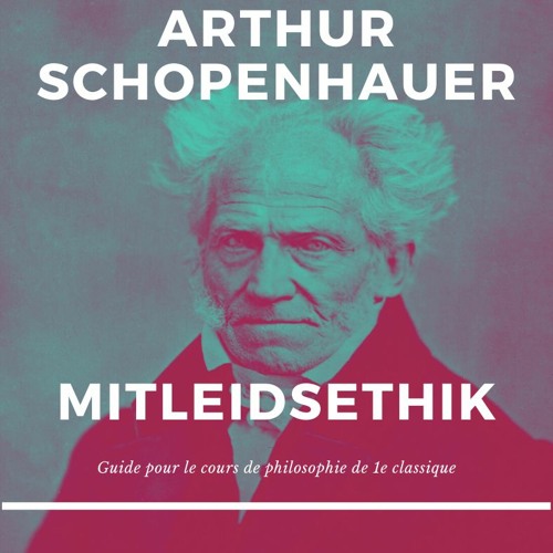 Cours zum Arthur Schopenhauer a senger Matleeds-Ethik