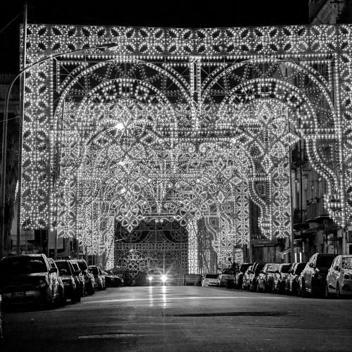 MesomorpH RhizomaE - 02