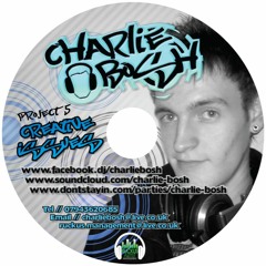 (Jan 2011) Charlie Bosh - Project 5 - Creative Issues