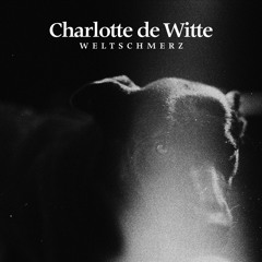 Charlotte de Witte - Weltschmerz (Melodic Theme)