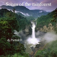 Songs of the rainforest