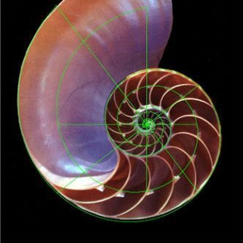 Flame of the Vortex (Prod. RedMosk)
