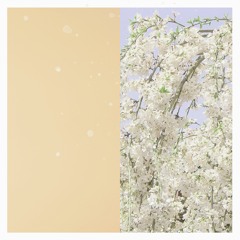 Bunraku - Kita