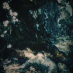 DELIRIUM GARDEN