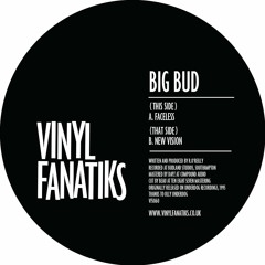 Big Bud - Faceless - VFS060 - 192mp3 clip