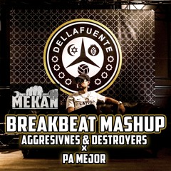 Dellafuente X Destroyers & Aggresivnes - Pa Mejor X Pickaxe (MEKAN) Mashup BreakBeat 2023