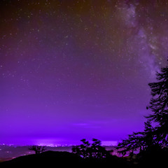 Passenger - Witch house beat