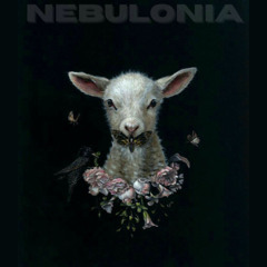 Nebulonia