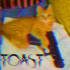 toast the cat