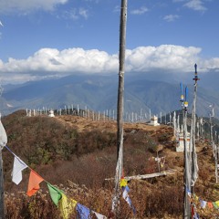 Kinthrilma Cover- Sherab Wangchuk