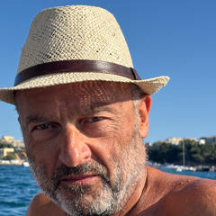 Le loup solitaire (Christian Devienne)