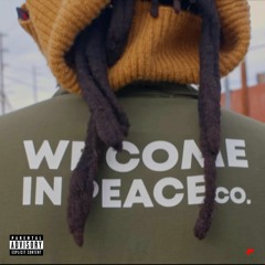 We Come in Peace Co.