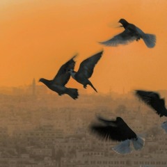 التدين هو امتلاء وعي العاشق بالمعشوق وحده