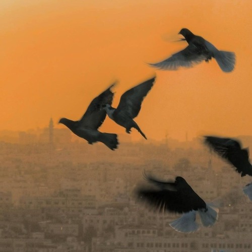 التدين هو امتلاء وعي العاشق بالمعشوق وحده