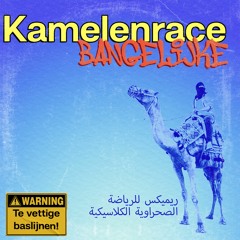 Kamelenrace (Arabian Derby)