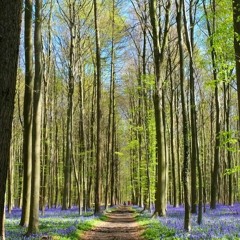 백예린-산책 (cover)