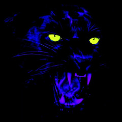 No Pain No Gain