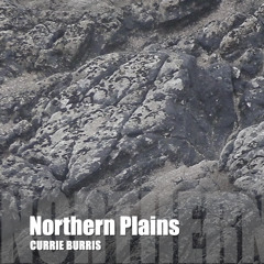 Northern Plains --Emergent3