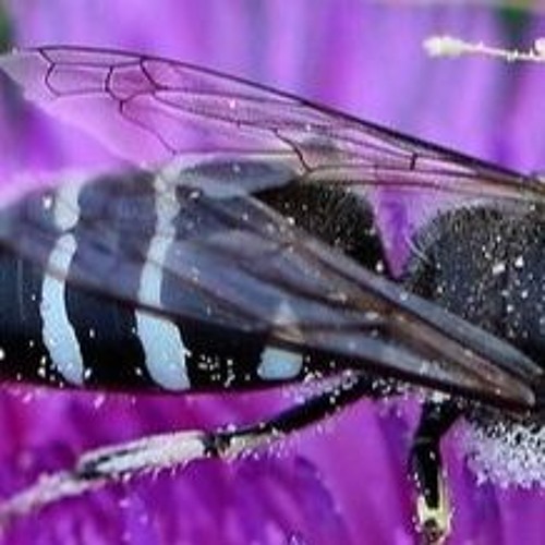 immaterial episode 1