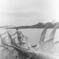 LavenderTown - UniversalArchive