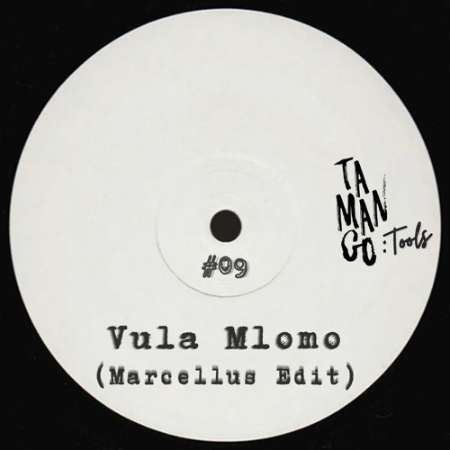 TMNGTOOLS #09 | Musa Keys - Vula Mlomo (Marcellus Edit)