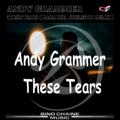 ANDY-GRAMMER - These Tears ( PARADISE , SKELETON REMIX )