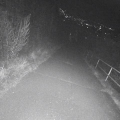 FEINDSTRAFRECHT - 143BPM Session