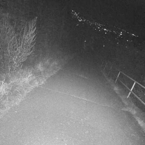 FEINDSTRAFRECHT - 143BPM Session