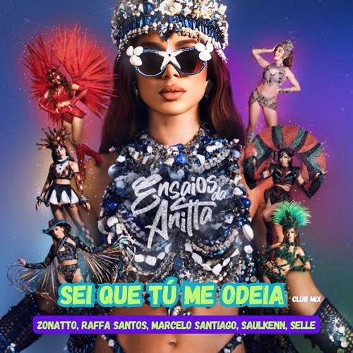 Stream Anitta, Mc Danny, Hitmaker - Sei Que Tu Me Odeia (Club Mix) by  Marcelo Santiago | Listen online for free on SoundCloud