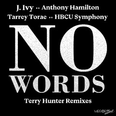 No Words (Terry Hunter Remix)