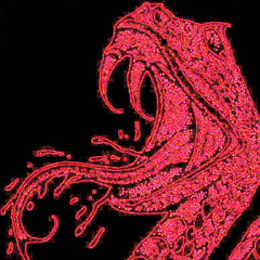 FPS - CRIMEWAVE (CRYSTAL CASTLES FLIP)