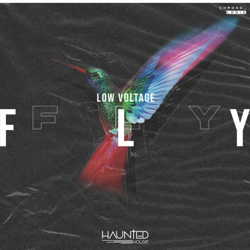 Low Voltage - Fly (Original Mix)