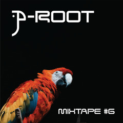 P-ROOT's Sounds | Mixtape