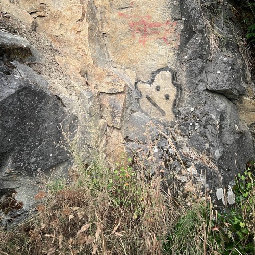 CA$H.GRAB - Dat Apricot (Original Mix)