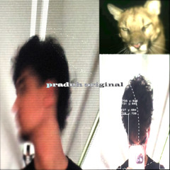 Jüngster Tag - praduh