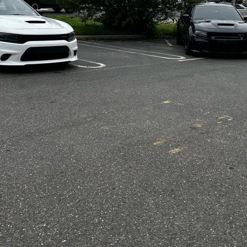 diana is dead (prollin bootleg) [FREE DL @ 1K PLAYS]