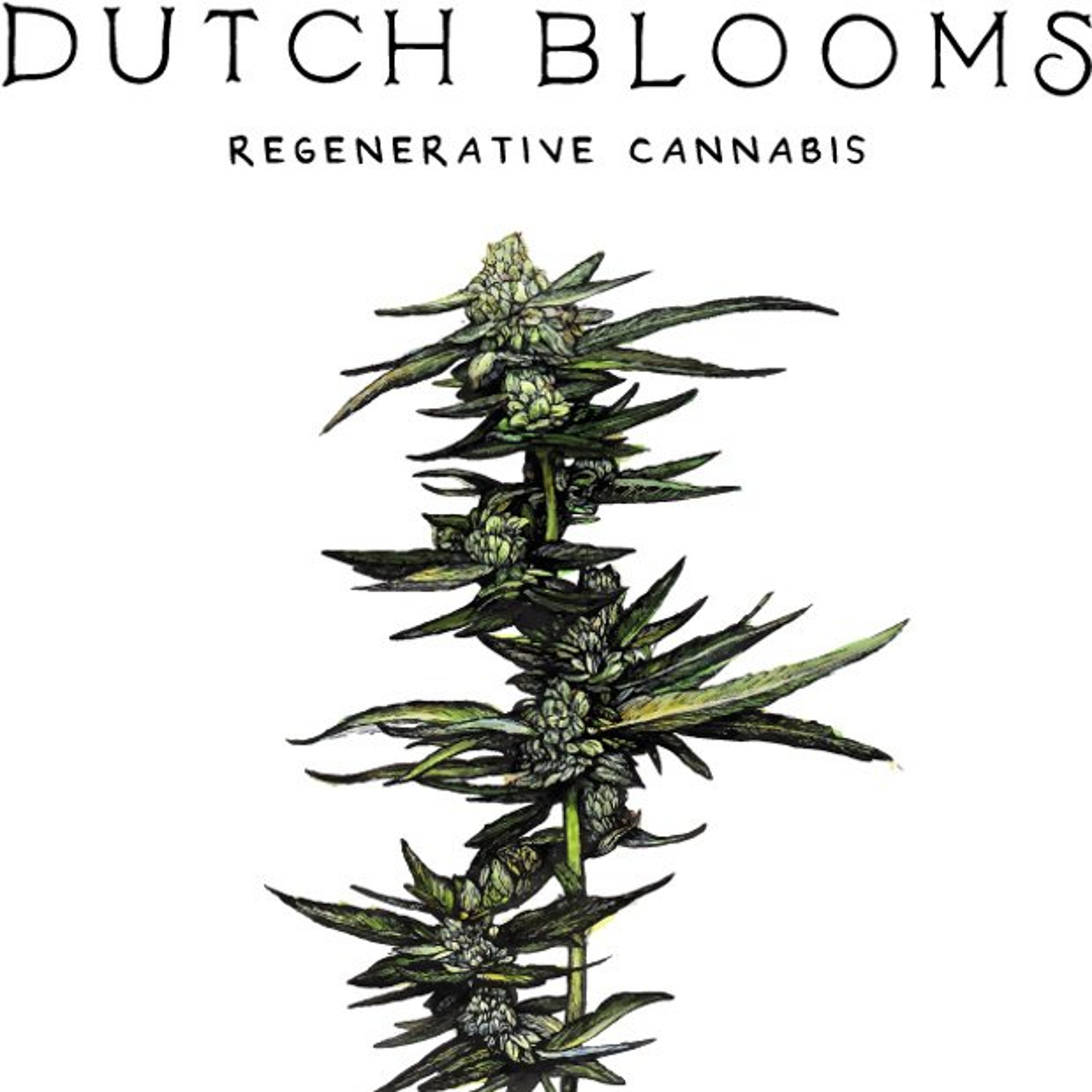 Episode 117 ft Joshua Rutherford of Dutch Blooms / House of Selections episode artwork