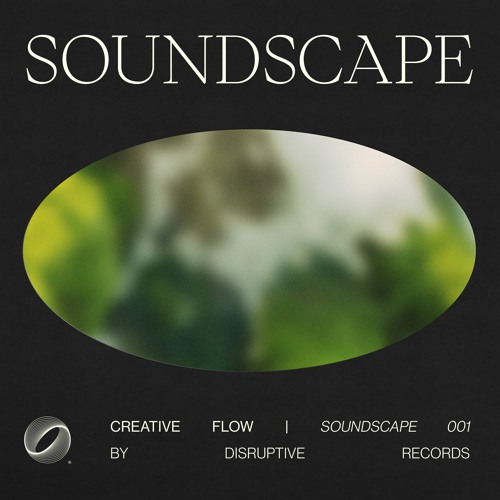 レコード soundscape - その他