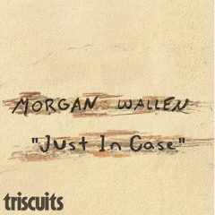 MORGAN WALLEN x Heggemann - Just in Case (Triscuits 'What Is Love' Bootleg)
